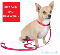 Keep Calm Nylon Dog Lead - Small