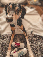 JR Pet Products - Wild Boar Pate - 400g