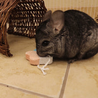 Sky Pet Products - Lava Star Chew