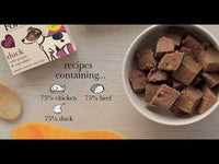 Forthglade - Just Grain Free Junior Dog Food - Duck - 395g