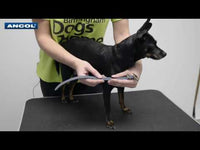 Ancol - Timberwolf Leather Collar, Green