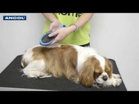 Ancol - Ergo Double Sided Comb For Dogs