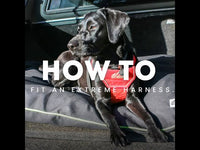 Ancol - Extreme Harness - Pink - X Large