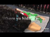 All For Paws - Dig It Fluffy Mat With Cute Toy