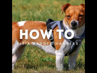 Ancol - Viva Nylon Padded Harness - Red - Large (52-71cm)