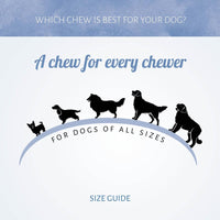 Antos - Mini Bones Training Treats, Lamb - 200g