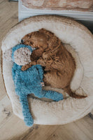 Rosewood - My Dog Monkey