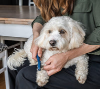 Mikki Doodles De-Matter