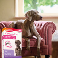 Beaphar - Canicomfort Calming Collar For Dogs