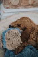 Rosewood - My Dog Monkey