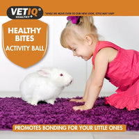 VetIQ - Healthy Bites Activity Treat Ball