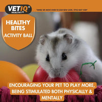 VetIQ - Healthy Bites Activity Treat Ball