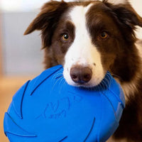 Rosewood - Battersea Foam Flyer