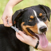 Beaphar Canishield Large Dogs