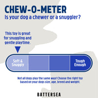 Rosewood - Battersea Butterfly Dog Toy