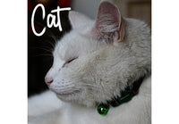 Ancol - Camouflage Safety Cat Collar Blue