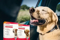 Beaphar Canishield Large Dogs