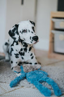 Rosewood - My Dog Monkey