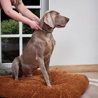 Beaphar - Canicomfort Calming Collar For Dogs