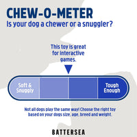 Rosewood - Battersea Foam Flyer