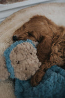 Rosewood - My Dog Monkey