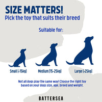 Rosewood - Battersea Foam Flyer