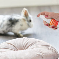 Beaphar - Rabbit Comfort - 30ml