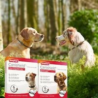 Beaphar Canishield Large Dogs