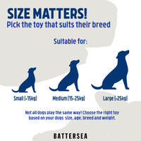 Rosewood - Battersea Butterfly Dog Toy