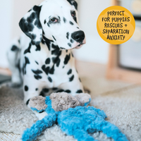 Rosewood - My Dog Monkey