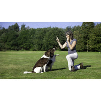 Rosewood - Training Deluxe Silent Dog Whistle