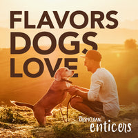 TropiClean - Enticers Teeth Cleaning Gel & Toothbrush for S/M Dogs - Peanut Butter & Honey Flavour - 59ml