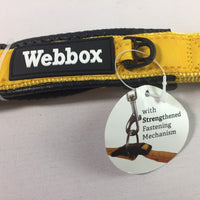 Webbox - Adjustable Dog Collar - Gold