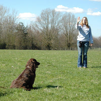 Rosewood - Training Deluxe Silent Dog Whistle