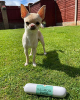 JR Pet Products - Pure Salmon Pate - 400g