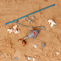 Ministry Of Pets - Sebastian The Shark Cat Teaser