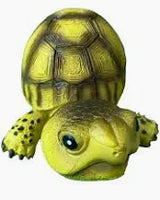 Betta - Crawling Tortoise