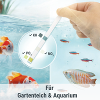 Tetra - Test Algae Control 3in1 - 25 Sticks