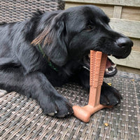 Bamboodles - Puppy X Bone