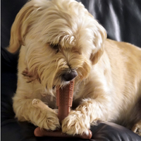 Bamboodles - Puppy X Bone