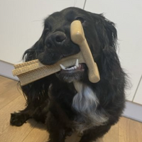 Bamboodles - Puppy X Bone