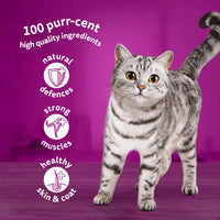 Whiskas - Adult 1+ Mixed Menu In Jelly Cat Pouches - 12x85g