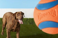 Chuckit! - Fetch Medley Gen 3 Rubber Dog Balls - Medium (inc. Ultra, Fetch & Rugged Balls)