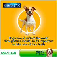 Pedigree - Dentastix Fresh Daily Dental Chews - Medium Dog - 5 Sticks