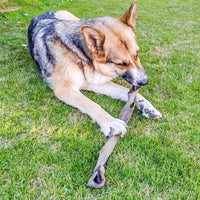 Anco - Naturals Giant Wild Boar Stick