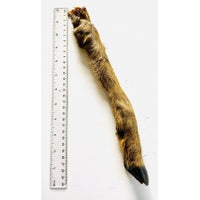 Anco - Roe Deer Leg Hairy