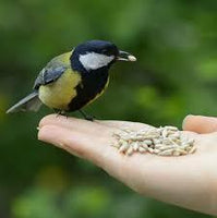 Walter Harrisons - Wild Bird Mix - 2kg