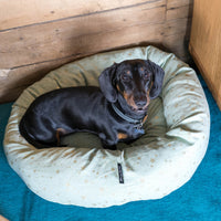 Pet Brands - Starry Nights Donut Bed - Mint