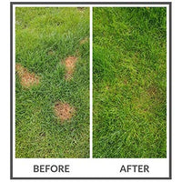 Dog Rocks - Lawn Burn Supplement - 200g