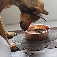 Dog Rocks - Lawn Burn Supplement - 200g